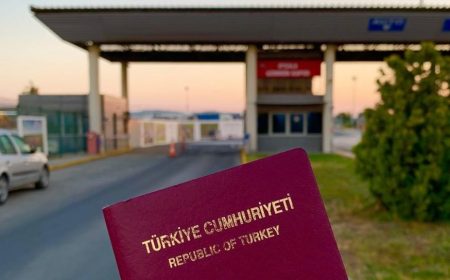 Yabancı Personel Çalışma / Oturma İzni Danışmanlığı, Türk Vatandaşlığı